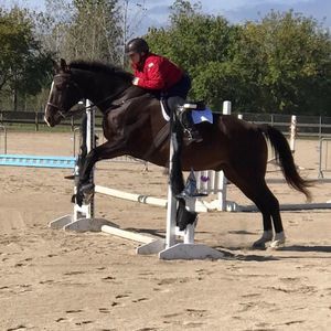 Meet your Posher, Becky